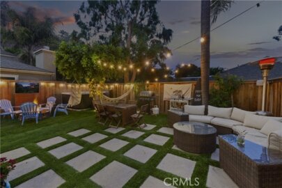 29533 Sea Horse Photo